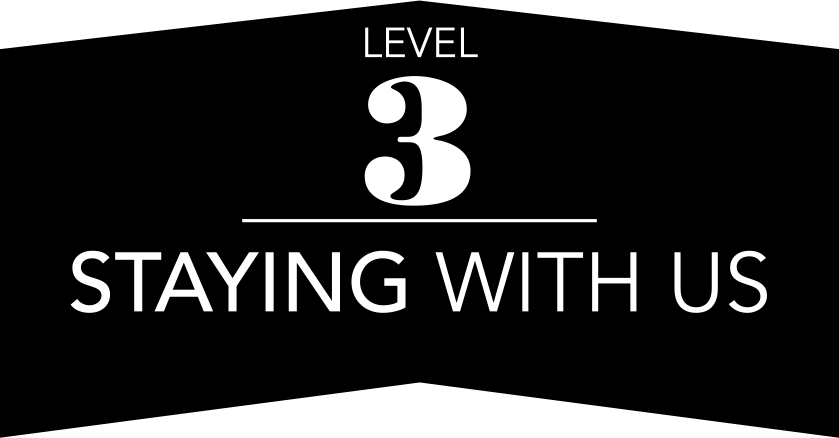 level3